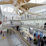 Zoologisches Museum_Foto_Stefan Kolbe