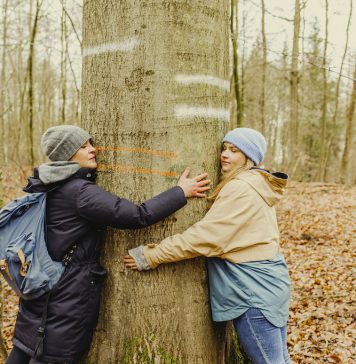 Achtsame Auszeit beim Waldbaden
