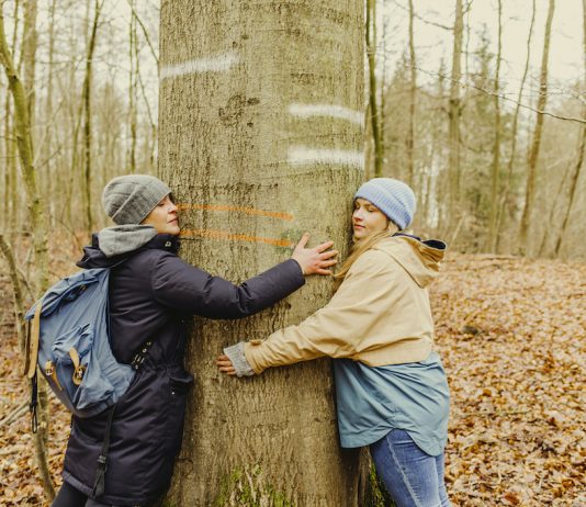 Achtsame Auszeit beim Waldbaden